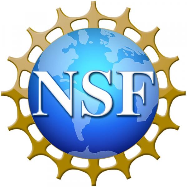 Holmes receives NSF Postdoctoral Fellowship